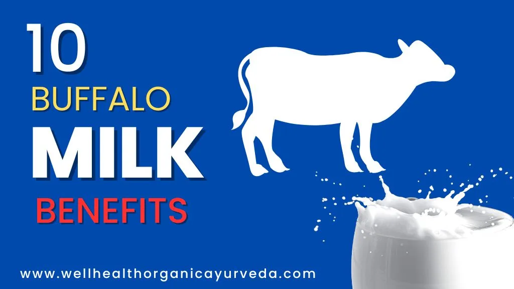 Wellhealthorganic Buffalo Milk