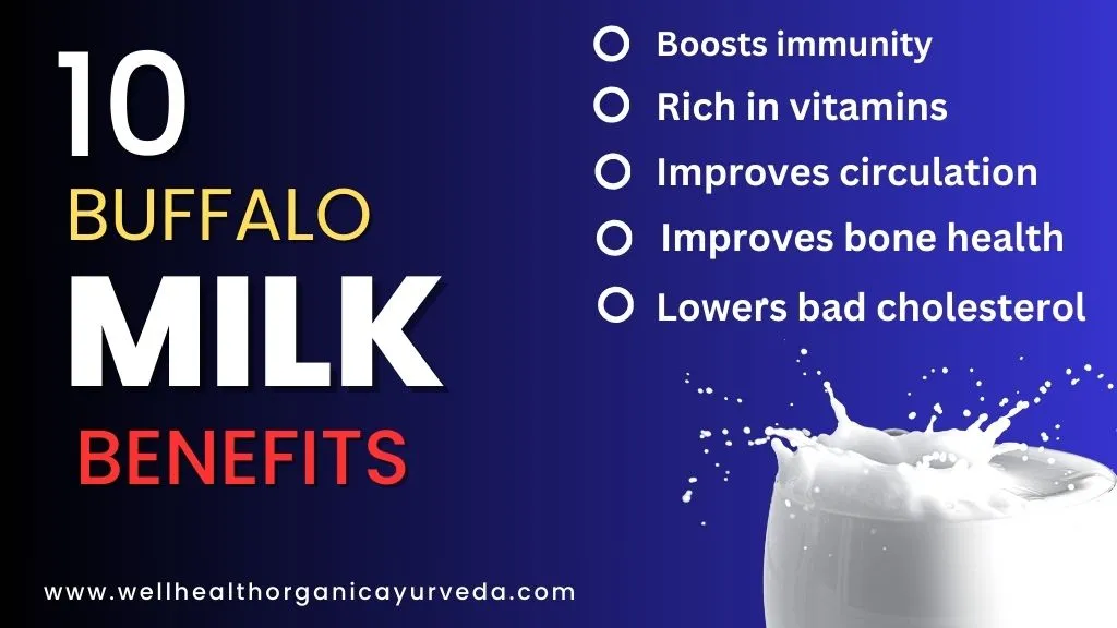 wellhealthorganic.com buffalo milk good for health