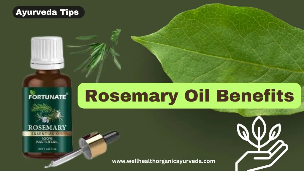 Rosemary Oil Benefits