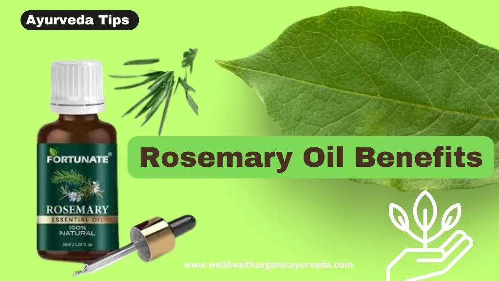 Rosemary Oil