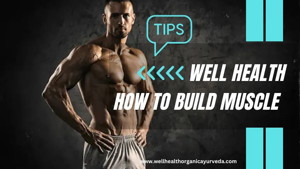 Wellhealth How to Build Muscle Tag