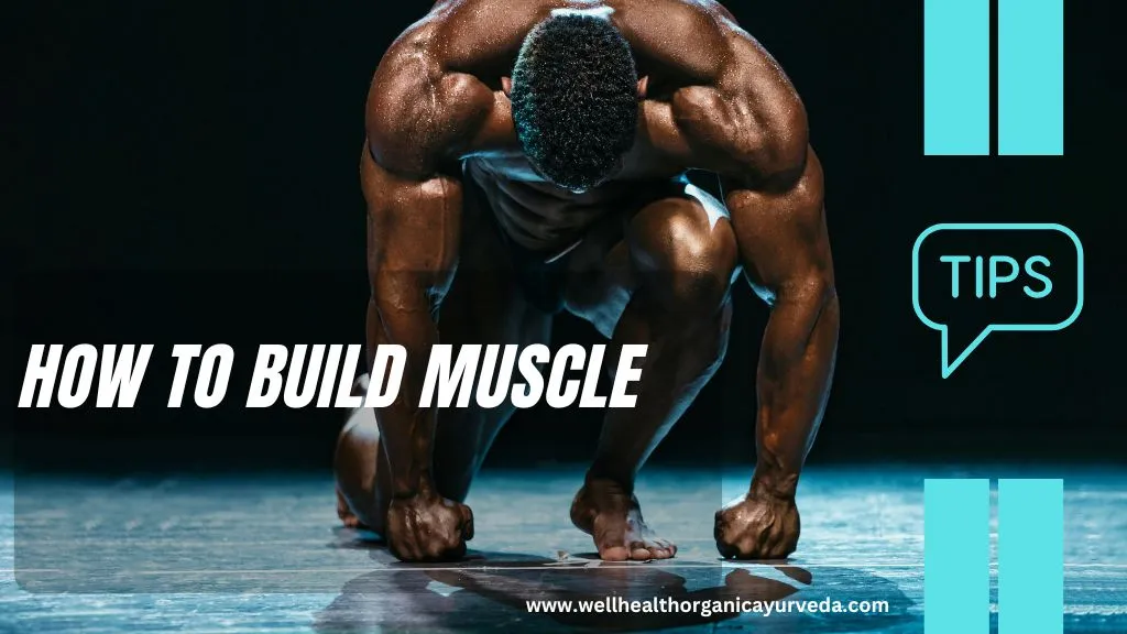 wellhealth how to build muscle tag in hindi